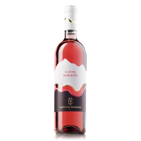 Rosato Marche Rosato I.G.T.