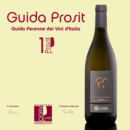 Gewurztraminer Trentino DOC 2023 Mas dei Chini