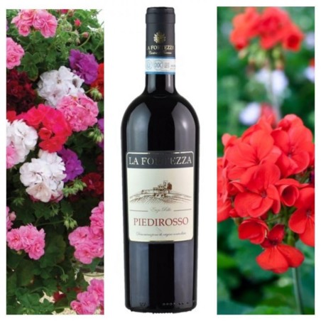 Piedirosso Sannio DOC 2020 LA FORTEZZA